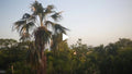 Test Video Product - by Shaquana